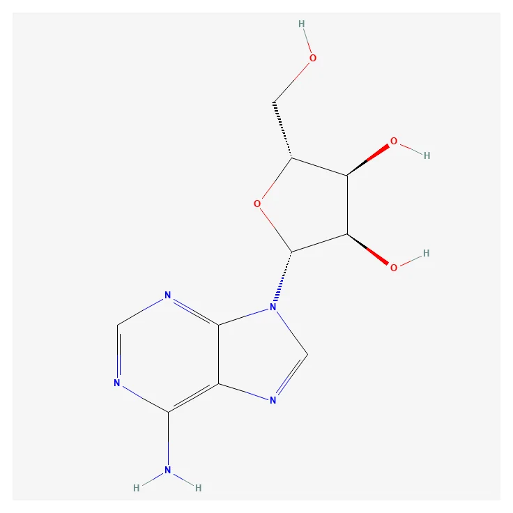 Adenosin, der Stoff hinter dem Schlafdruck. Es reichert sich über den Tag im Gehirn an und wird im Schlaf abgebaut — wer zu kurz oder zu zerstückelt schläft, startet den Tag mit einem Rest, der sich in Gähnen und Konzentrationslücken bemerkbar macht.